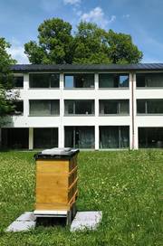 Hogau brummt – finanziert durch den Förderverein